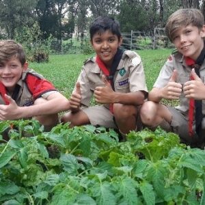 1st bryanston SDG project