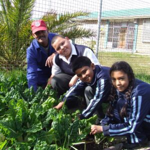 food for life strandfontein western cape