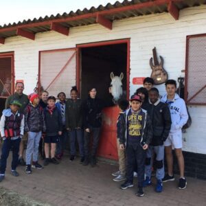 Lippizaners Farm
