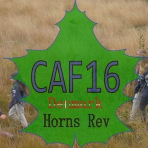 logo caf15