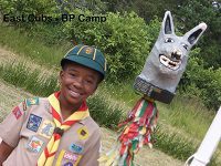 Cubbing Centenary 2016