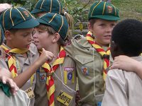 Cubbing Centenary 2016