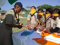 Cubbing Centenary 2016