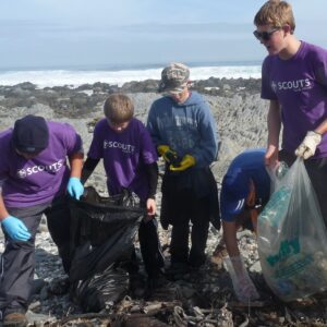 cleaning up the shore of robben island