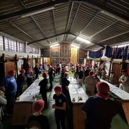 4 table view scouts 10 000