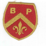 BP Award colour