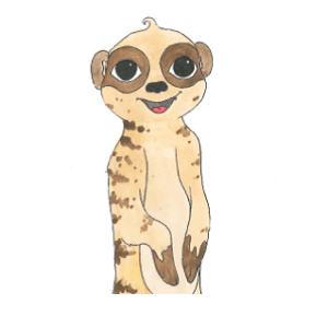 Herbert the Meerkat