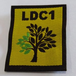 LDC1