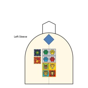 Placement of Sixer Patch