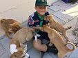 Sabastian Rouse and puppies