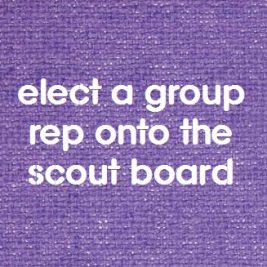 elect a group rep on the scout board