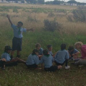 rosebank cubs