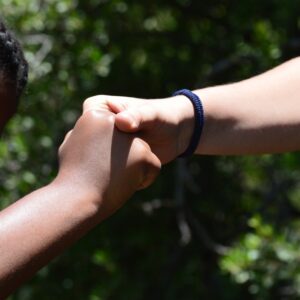 sanjamb hand